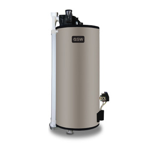 GSW Power Direct Vent water heater