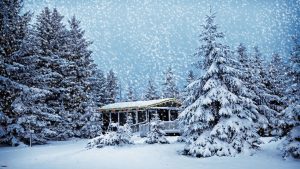 a snowy christmas scene in Canada | Zenith Eco Energy